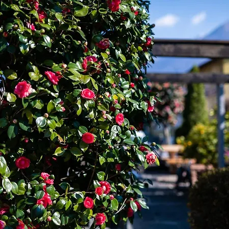 Hotel Lodge, Pool & Garden Retreat